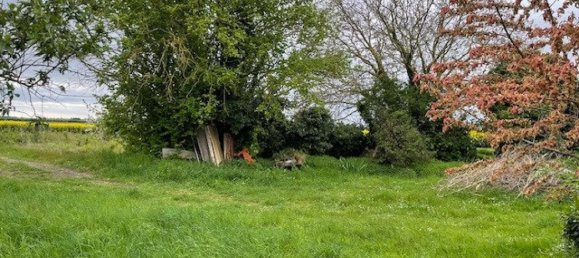 Casa T1 em Baigneaux, France N.º 72973 13