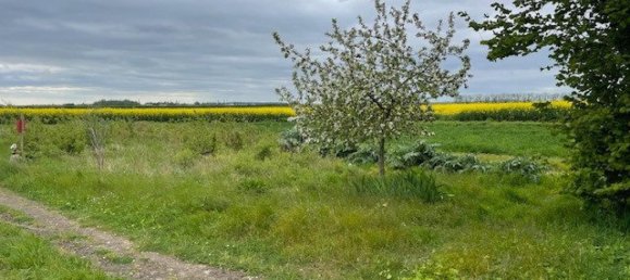 Casa T1 em Baigneaux, France N.º 72973 6