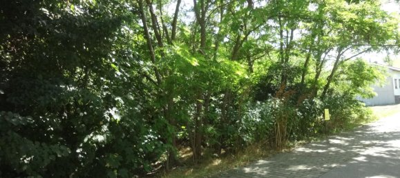 1578m² Land in Neusiedl am See, Austria No. 127796 3