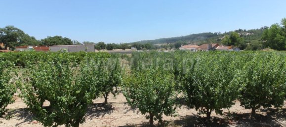 Замки и поместья с 10 спальнями в Алмейрин, Португалия № 63122 6