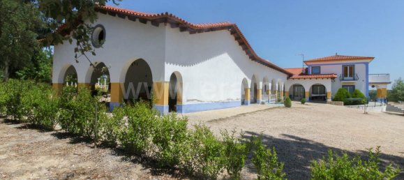 Замки и поместья с 10 спальнями в Алмейрин, Португалия № 63122 7