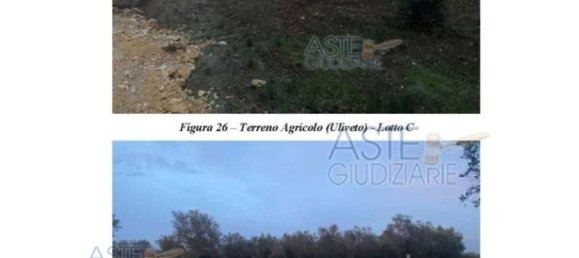 23536m² Land in Manduria, Italy No. 32333 2