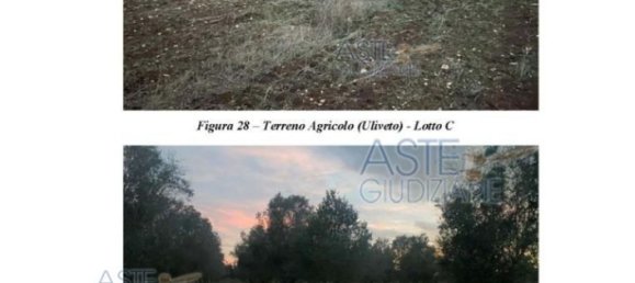 23536m² Land in Manduria, Italy No. 32333 4