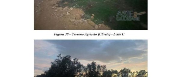 23536m² Land in Manduria, Italy No. 32333 3