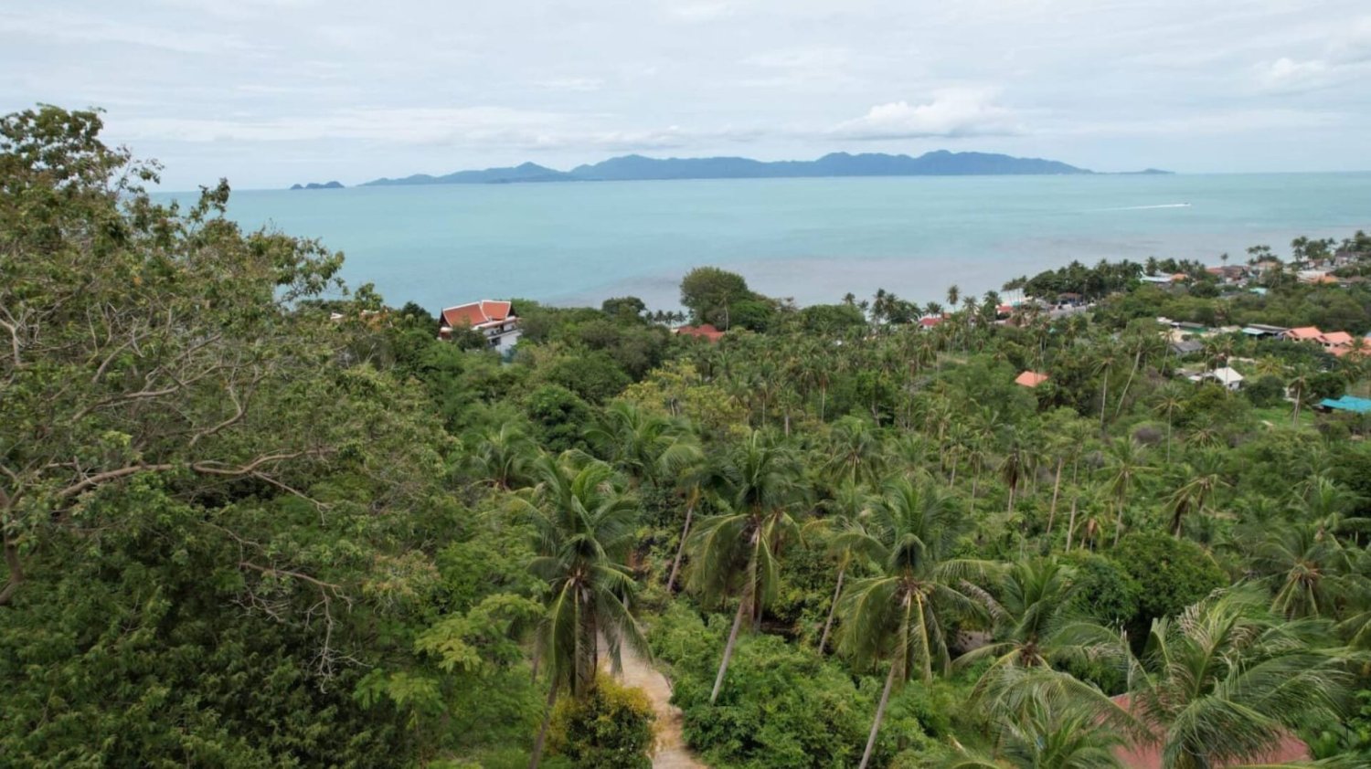 872m² Commercial property in Ko Samui, Thailand No. 12296