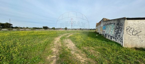 19930m² Land in Palmela, Portugal No. 70887 10