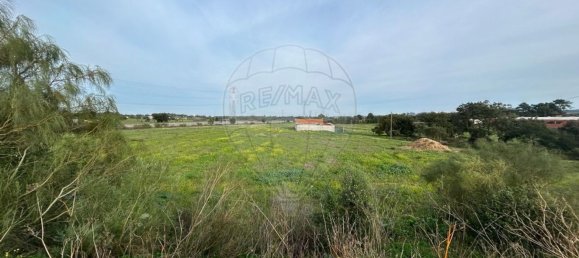 19930m² Land in Palmela, Portugal No. 70887 4