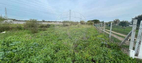 19930m² Land in Palmela, Portugal No. 70887 6