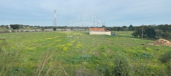 19930m² Land in Palmela, Portugal No. 70887 3