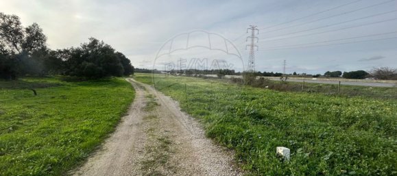 19930m² Land in Palmela, Portugal No. 70887 5