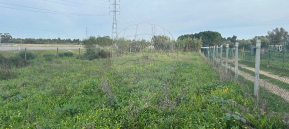 19930m² Land in Palmela, Portugal No. 70887 7