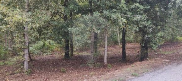  قطعة أرض في Lavradas, Portugal 700متر مربع رقم 70310 5