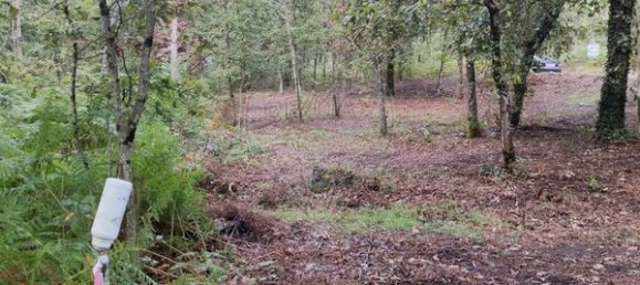  قطعة أرض في Lavradas, Portugal 700متر مربع رقم 70310 2