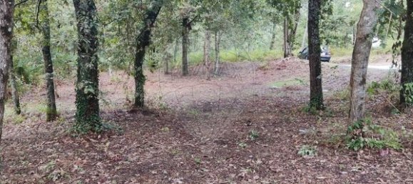  قطعة أرض في Lavradas, Portugal 700متر مربع رقم 70310 3