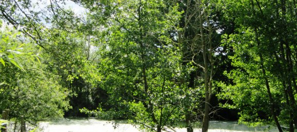 2 bedrooms House in Maresche, France No. 279304 9