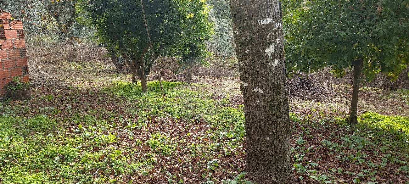 5 bedrooms House in Cumeeira, Portugal No. 154119