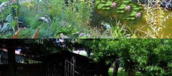 13غرفة تاون هاوس في Gottingen, Germany رقم 149462 4