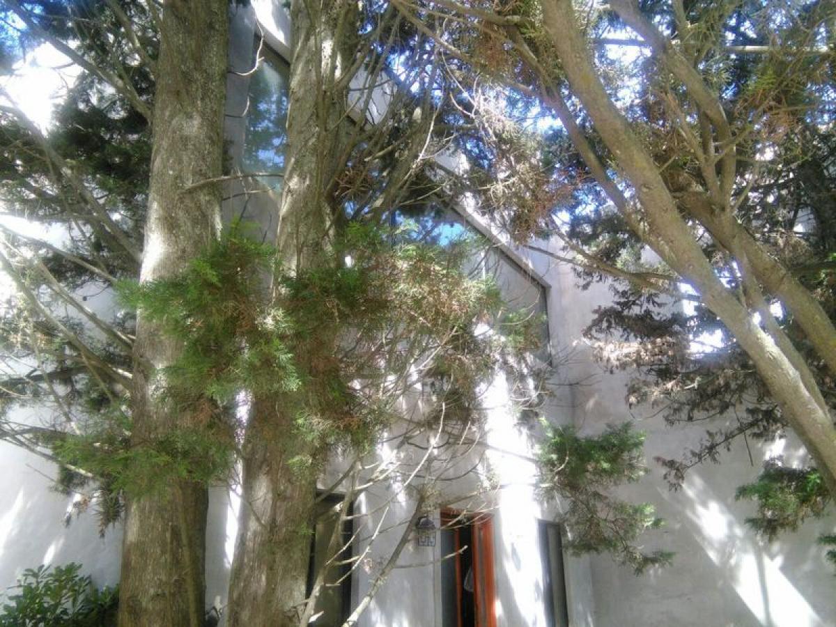 2 bedrooms House in Presidente Peron, Argentina No. 67787