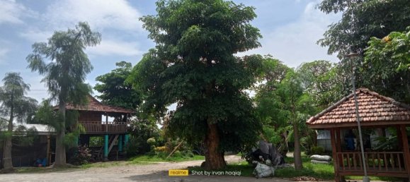 2 bedrooms House in Kediri, Indonesia No. 1560 3