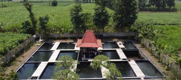 2 bedrooms House in Kediri, Indonesia No. 1560 7