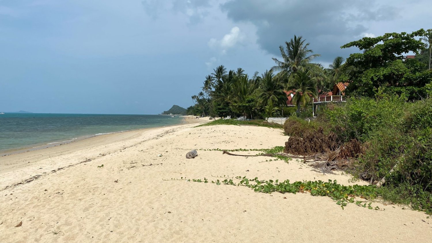  Commercial property in Ko Samui, Thailand No. 5610