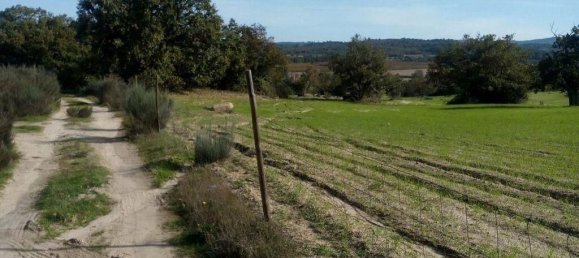 قطعة أرض في Peraboa, Portugal 130000متر مربع رقم 140239 9