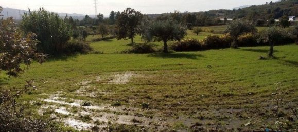 قطعة أرض في Peraboa, Portugal 130000متر مربع رقم 140239 5