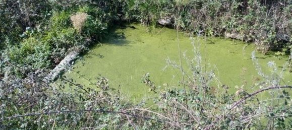 قطعة أرض في Peraboa, Portugal 130000متر مربع رقم 140239 16