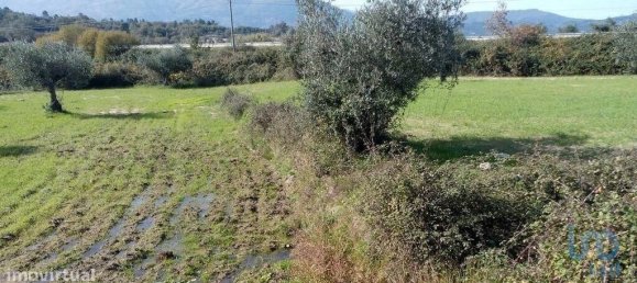 قطعة أرض في Peraboa, Portugal 130000متر مربع رقم 140239 3