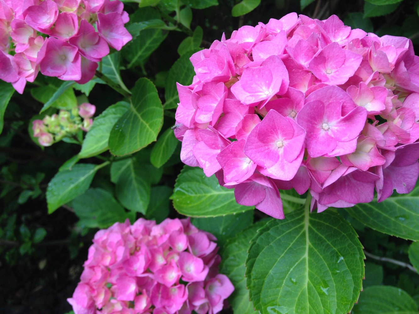 Apartamento de 2 dormitorios en Offenbach, Germany No. 174850