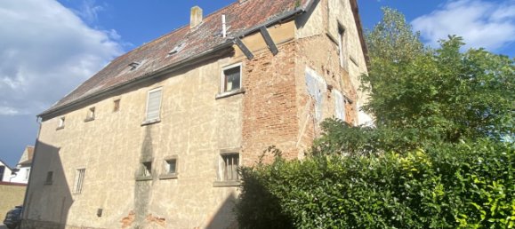 12 rooms House in Rhein-Pfalz, Germany No. 133319 5