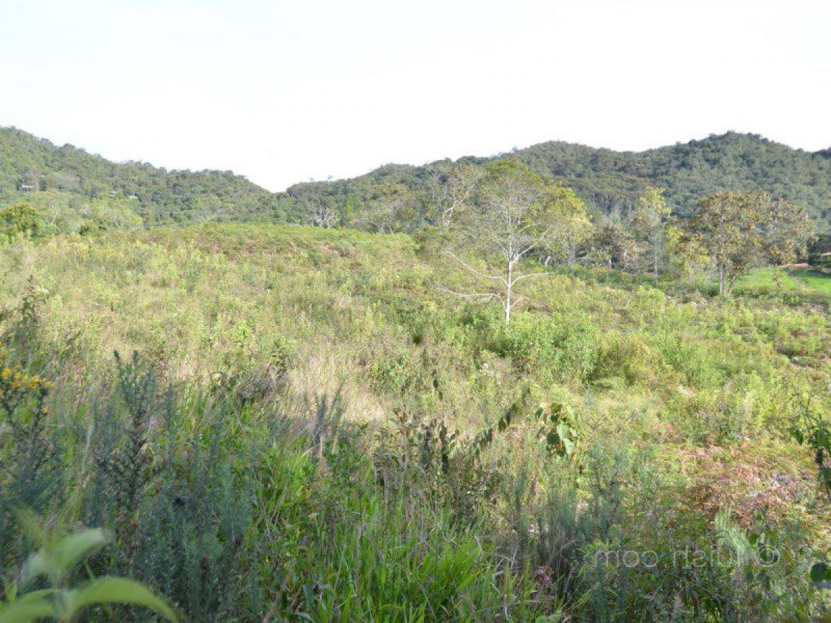 Terrain à Antioquia, Colombia No. 190