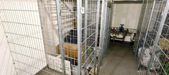 3-salle Appartement à Favoriten, Austria No. 130324 14