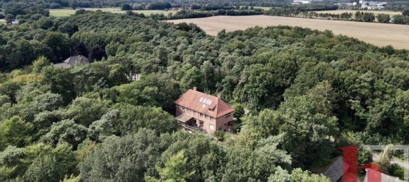 15-salle Maison de ville à Vechta, Germany No. 182884 2