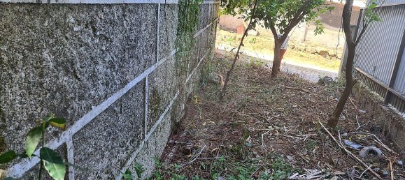 Casa de 2 dormitorios en Satao, Portugal No. 24716 7