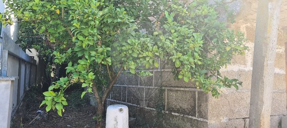 Casa de 2 dormitorios en Satao, Portugal No. 24716 8