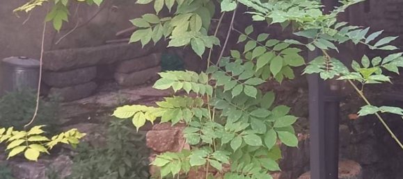 3 bedrooms Apartment in Fara in Sabina, Italy No. 333211 15