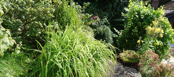 7 bedrooms Townhouse in Baden-Wurttemberg, Germany No. 2595 6