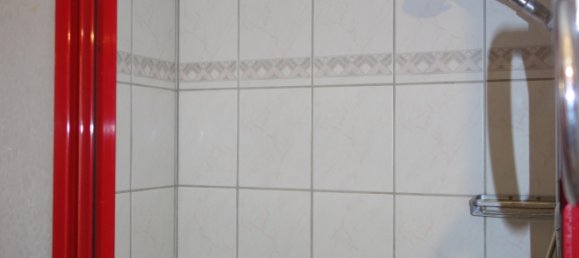 7 bedrooms Townhouse in Baden-Wurttemberg, Germany No. 2595 16