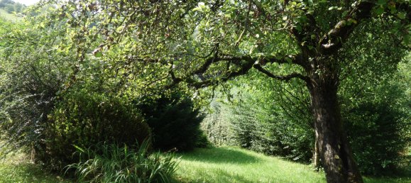 7 bedrooms Townhouse in Baden-Wurttemberg, Germany No. 2595 2