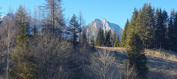 Grundstück in Seefeld in Tirol, Austria, Nr. 164284 4