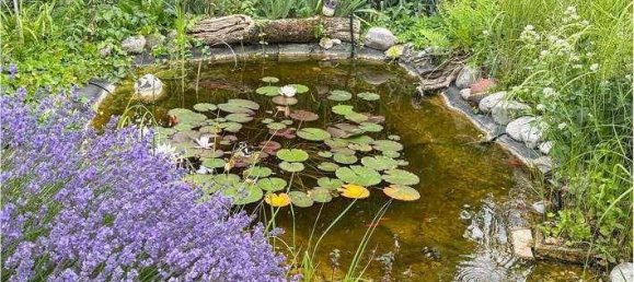 3-salle Maison à Traiskirchen, Austria No. 196113 11