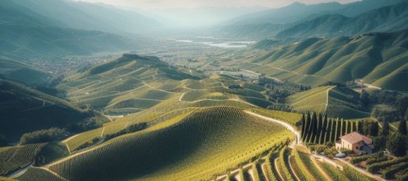 23500m² Land in Nervesa della Battaglia, Italy No. 123241 9