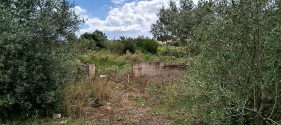 Terreno em Muro, Spain N.º 155361 20