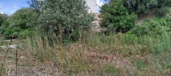 Terreno em Muro, Spain N.º 155361 12