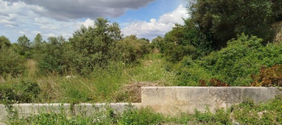 Terreno em Muro, Spain N.º 155361 18