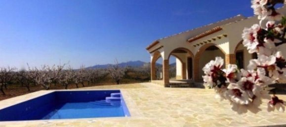 3 bedrooms Villa in Pinoso, Spain No. 7184 7