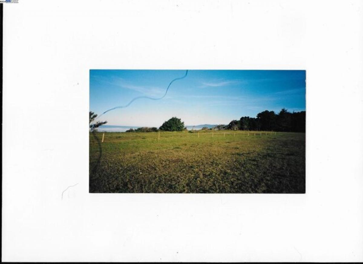  Land in McKinleyville, USA No. 474211