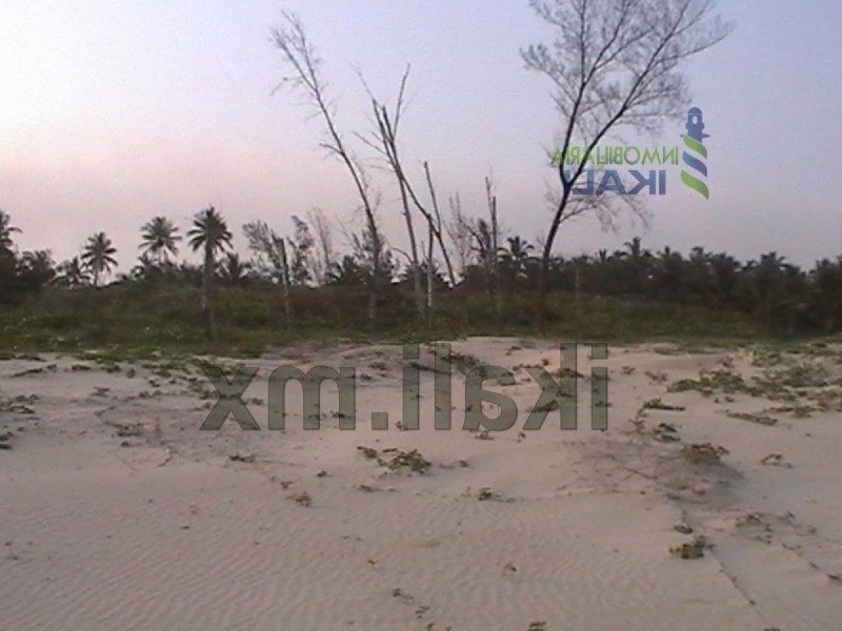 Terreno em Veracruz, Mexico N.º 203975