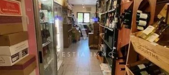 Gewerbliche Immobilie in Saint-Arnoult-en-Yvelines, France 100m², Nr. 280054 3